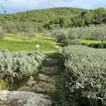 Rosa Di Chianti *